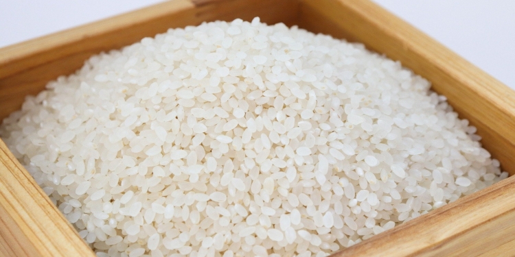 cara memasak nasi agar pulen dengan rice cooker